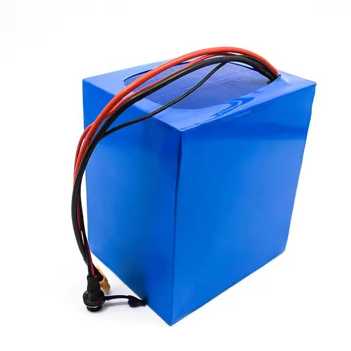 Electric Bike 24V batteripaket