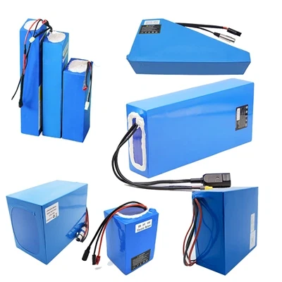  Electric Bicycle Battery