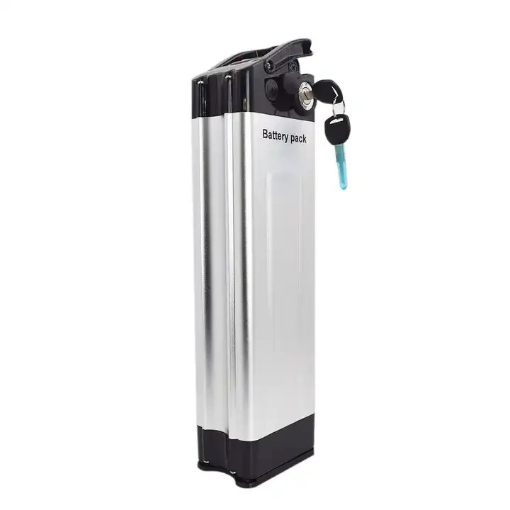 Silver Fish Batteri 36v
